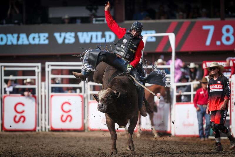 calgary-stampede-afternoon-rodeo