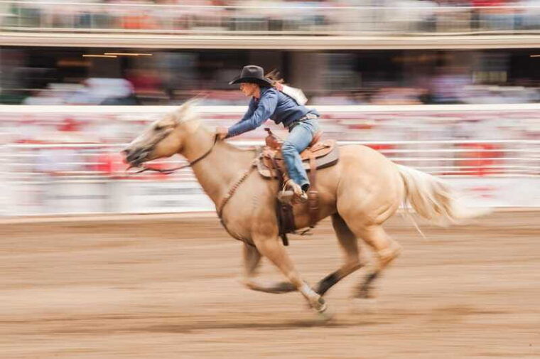 calgary-stampede-afternoon-rodeo