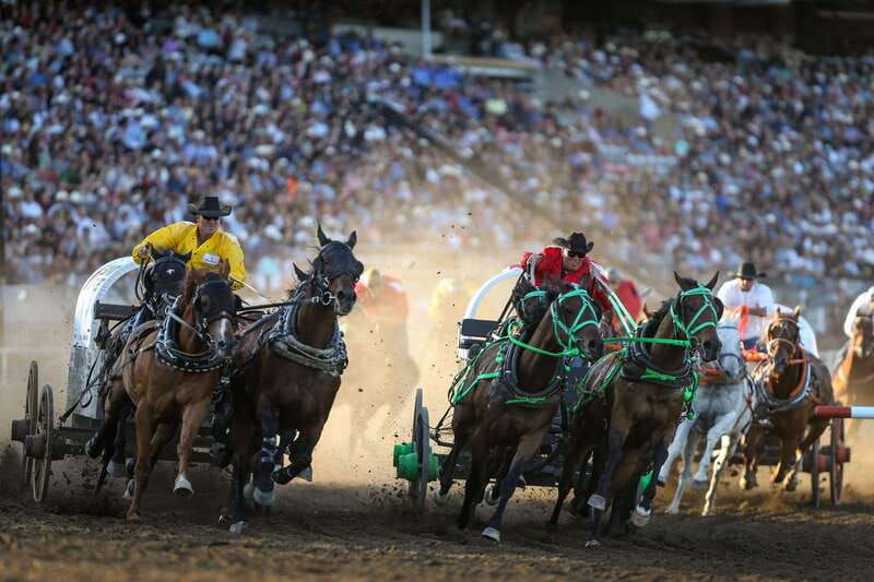 calgary-stampede-evening-show