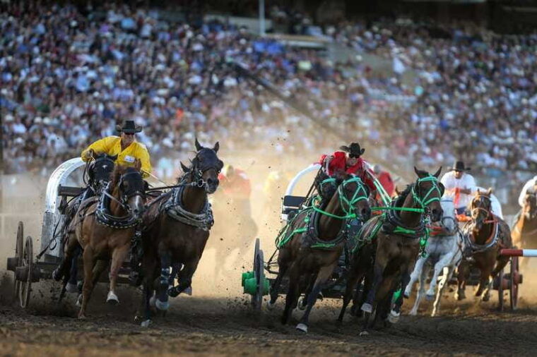 calgary-stampede-evening-show