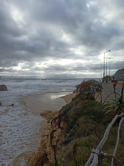 calheta-southwest-coastline-van-tour