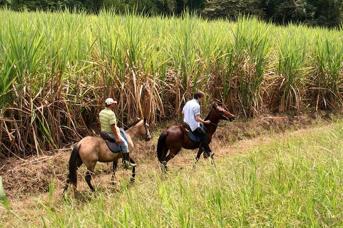 cali-horseback-riding-through-beautiful-landscapes-and-mountains