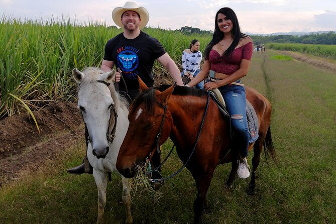 cali-horseback-riding-through-beautiful-landscapes-and-mountains