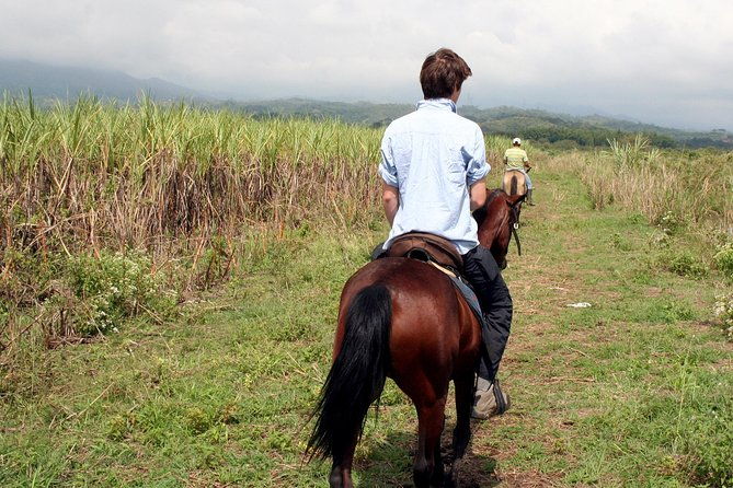 cali-horseback-riding-through-beautiful-landscapes-and-mountains
