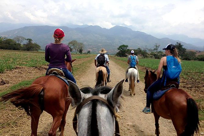 cali-horseback-riding-through-beautiful-landscapes-and-mountains