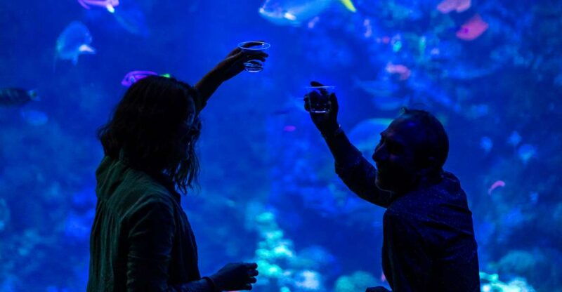 california-academy-of-sciences-nightlife-plus-admission