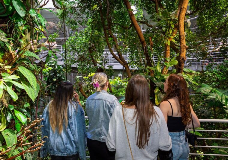 california-academy-of-sciences-nightlife-plus-admission