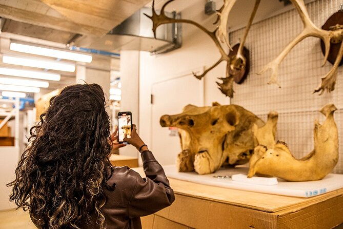 california-academy-of-sciences-nightlife-plus-admission-ticket