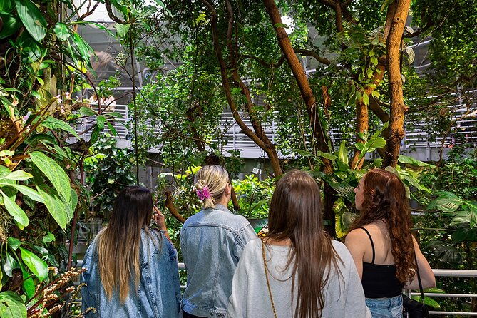 california-academy-of-sciences-nightlife-plus-admission-ticket
