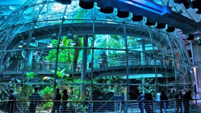 california-academy-of-sciences-thursday-nightlife-admission