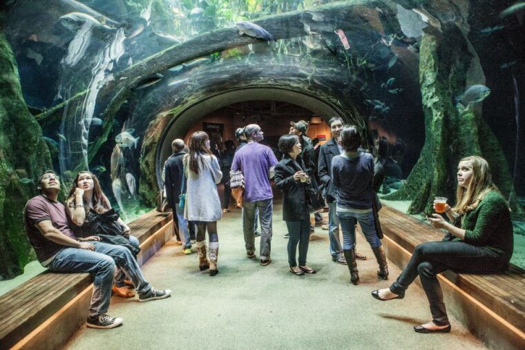 california-academy-of-sciences-thursday-nightlife-admission
