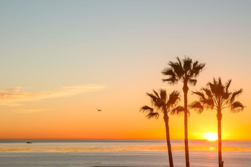 california-sunset-brewery-tour