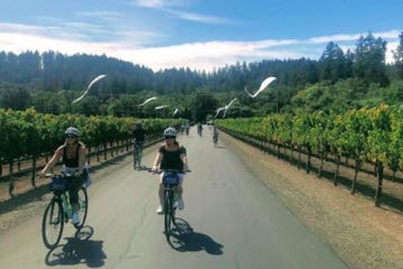 calistoga-napa-valley-cycling-and-winery-tour-with-picnic