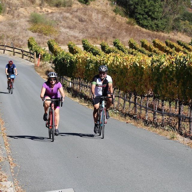 calistoga-napa-valley-cycling-and-winery-tour-with-picnic