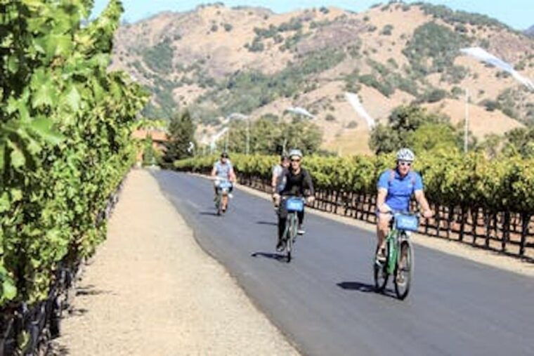 calistoga-napa-valley-cycling-and-winery-tour-with-picnic
