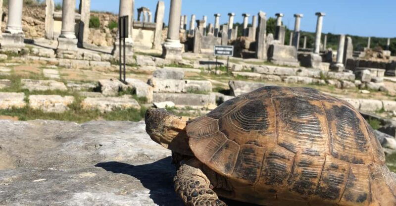 call-of-ancient-history-in-perge