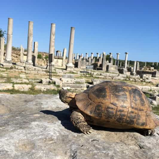 call-of-ancient-history-in-perge