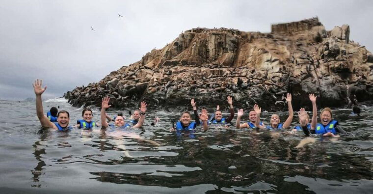 callao-swimming-with-sea-lions-palomino-islands-boat-tour