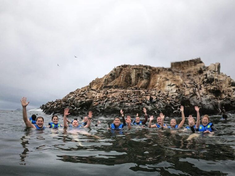 callao-swimming-with-sea-lions-palomino-islands-boat-tour