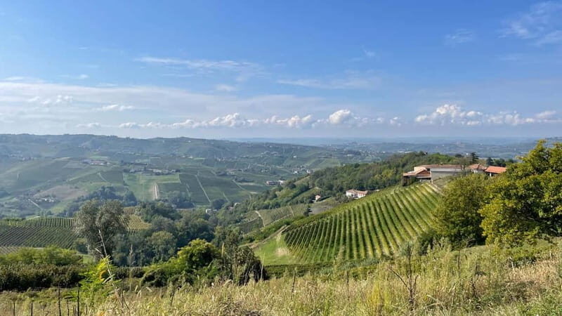 Calosso: Private Harp Concert & Wine Tasting in the Langhe - FAQs