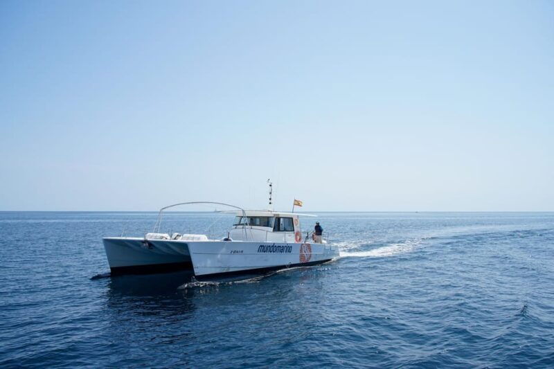 calpe-catamaran-tour-with-optional-swim-stop