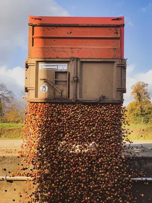 Calvados: the art of making Coquerel Calvados and Normindia Gin - Tasting: The Culmination of the Experience  