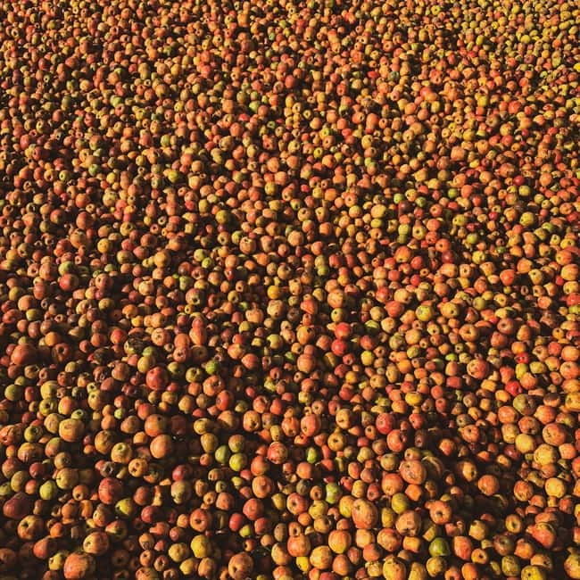 Calvados: the art of making Coquerel Calvados and Normindia Gin - FAQ  