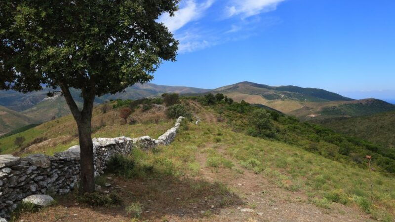 calvi-asco-valley-4x4-day-tour-with-guide