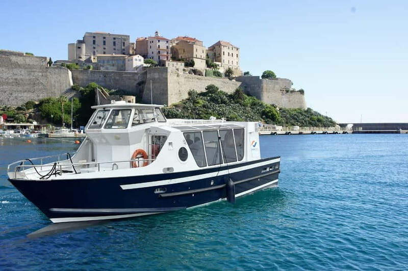 Calvi: guided tour by speedboat to Scandola - The Itinerary: What to Expect During Your 4-Hour Journey
