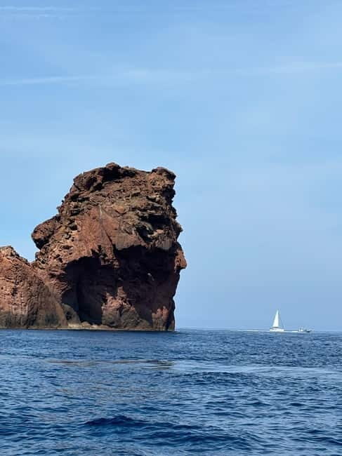Calvi: guided tour by speedboat to Scandola - Why You Should Consider This Tour