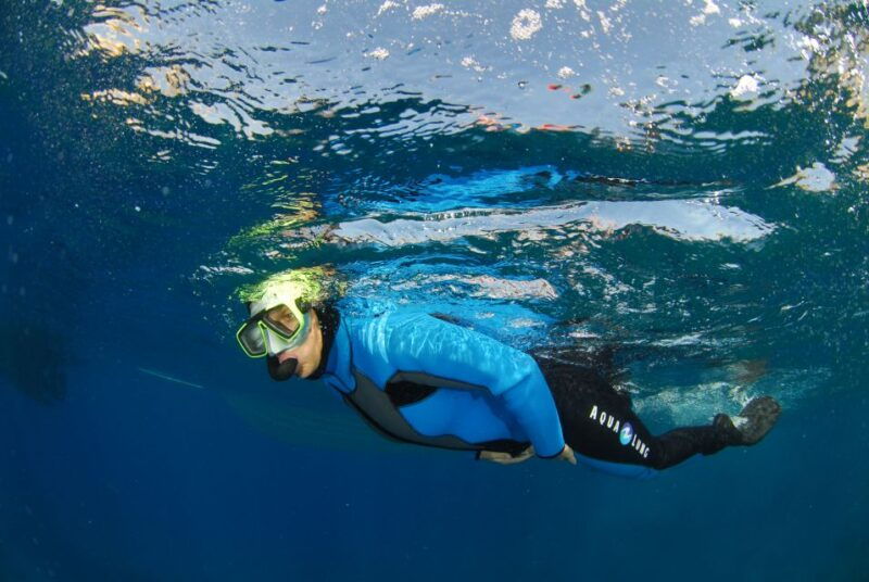 calvi-pointe-de-la-revellata-snorkeling-boat-tour