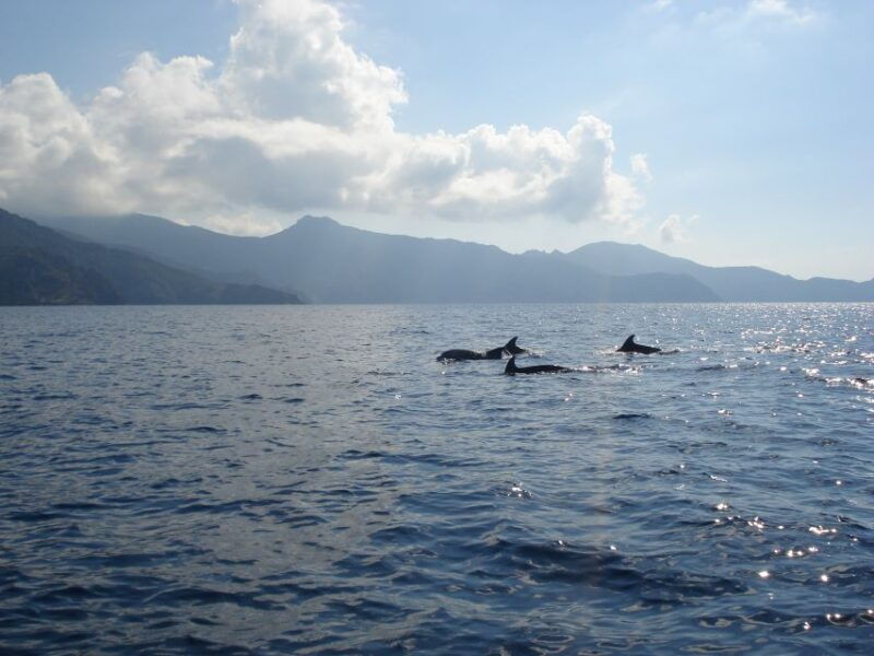 calvi-scandola-and-girolata-6-hour-boat-tour