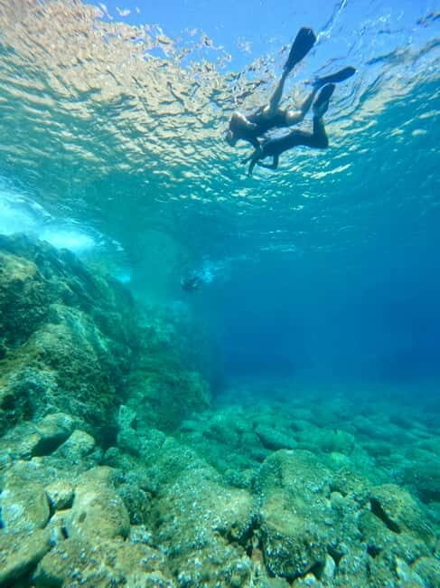 Calvi : Snorkeling Adventure by the Natural Reserve - Key Points