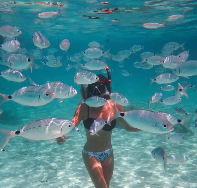 Calvi : Snorkeling Adventure by the Natural Reserve - The Experience: A Step-by-Step Breakdown