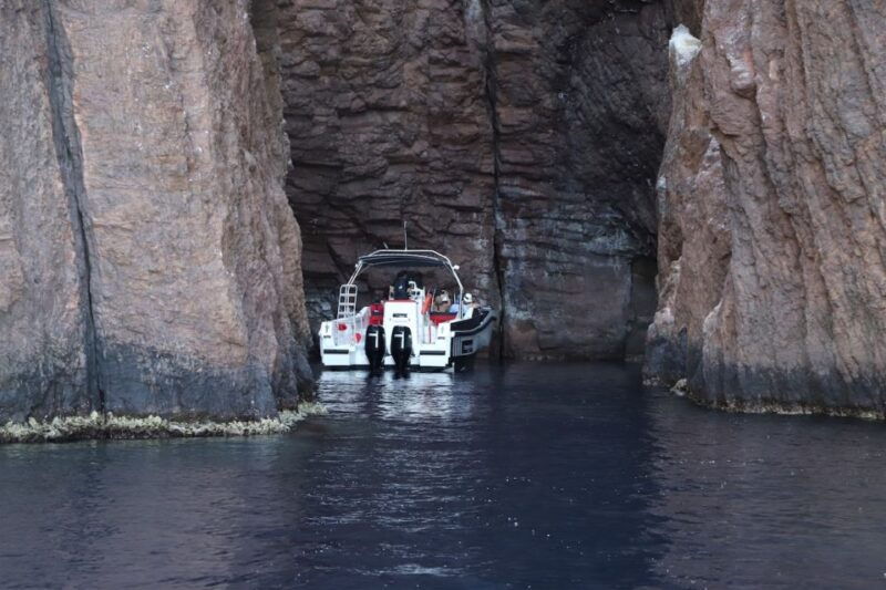 calvi-to-scandola-4-hour-boat-tour