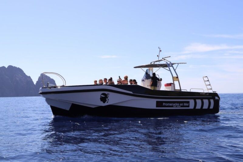 calvi-to-scandola-4-hour-boat-tour