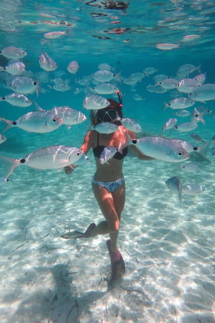 calvi-underwater-journey-at-the-edge-of-a-natural-reserve