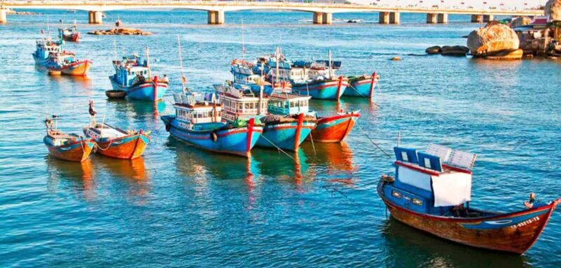 Cam Ranh Port Shore Excursion Nha Trang City Tour - Lunch and Rest