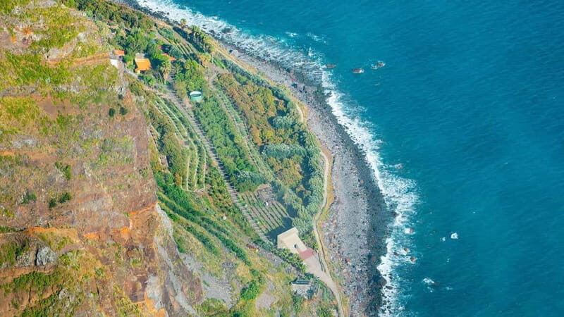 Câmara de Lobos, Pico da Torre, and Porto Moniz Tour - Practical Tips for the Tour