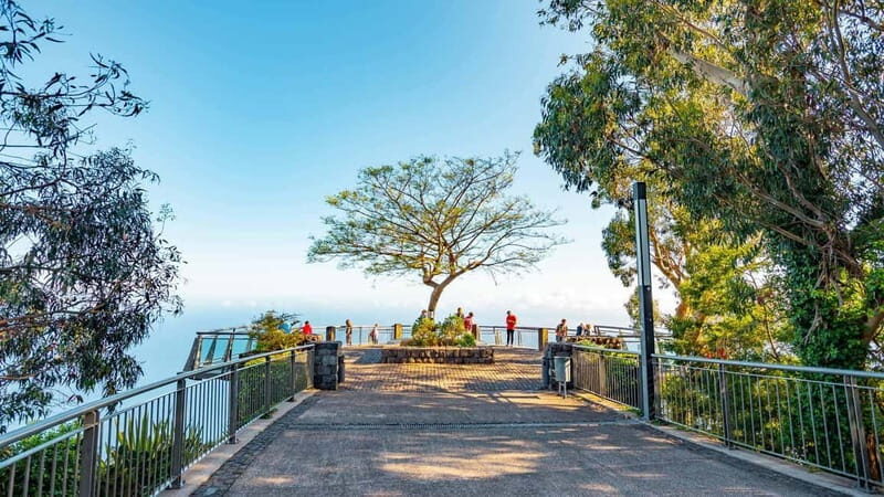 Câmara de Lobos, Pico da Torre, and Porto Moniz Tour - Frequently Asked Questions
