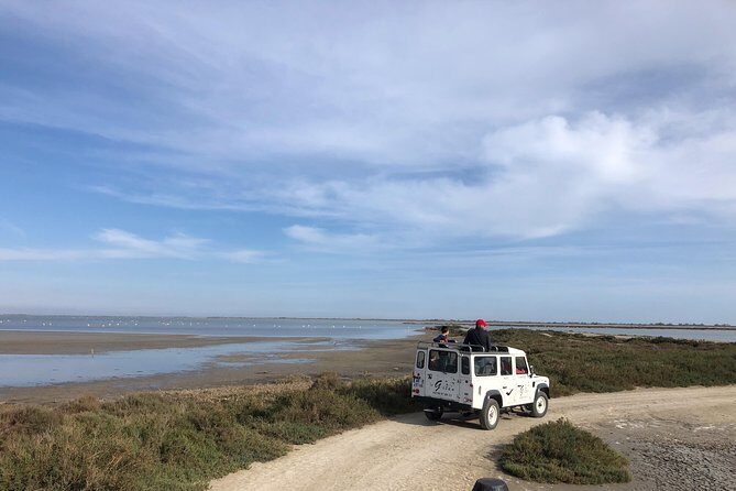 Camargue 4x4 Safari 2 hours Saintes Maries de la Mer - FAQ