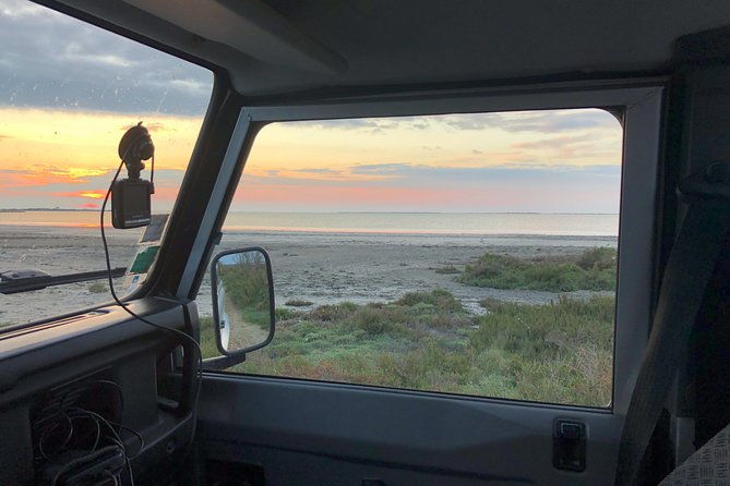 camargue-4x4-safari-day