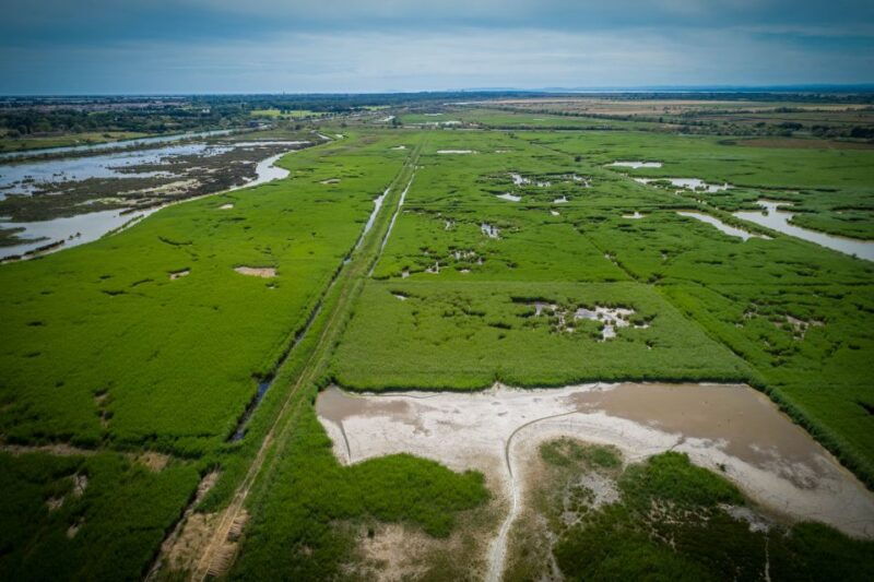 camargue-guided-electric-bike-tour