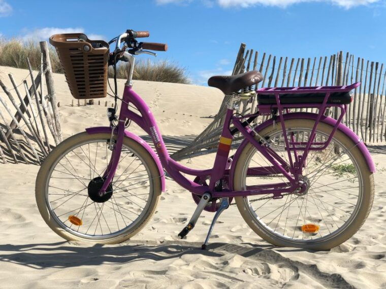 camargue-guided-electric-bike-tour