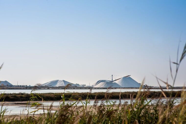 camargue-guided-electric-bike-tour