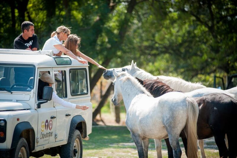 camargue-half-day-4x4-guided-safari-adventure
