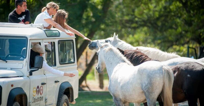 camargue-half-day-4x4-guided-safari-adventure