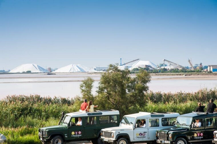 camargue-half-day-4x4-guided-safari-adventure