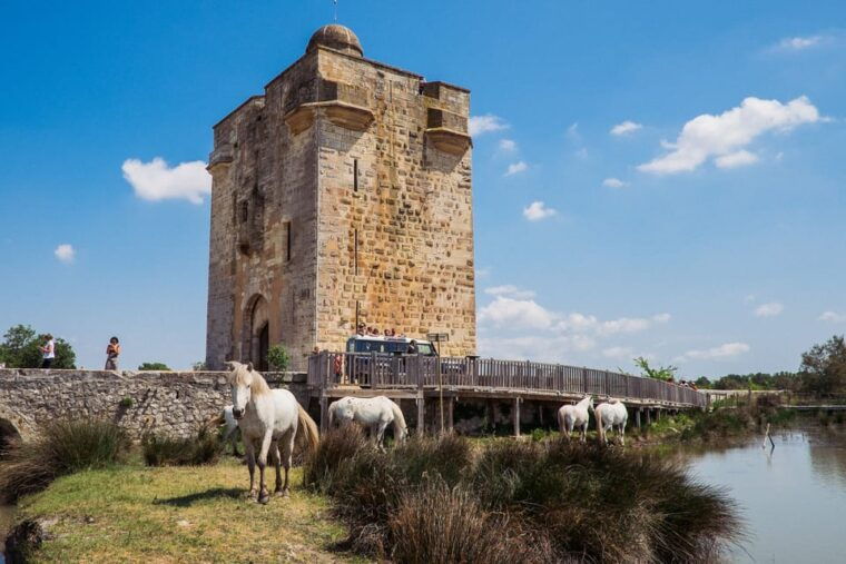 camargue-half-day-4x4-guided-safari-adventure