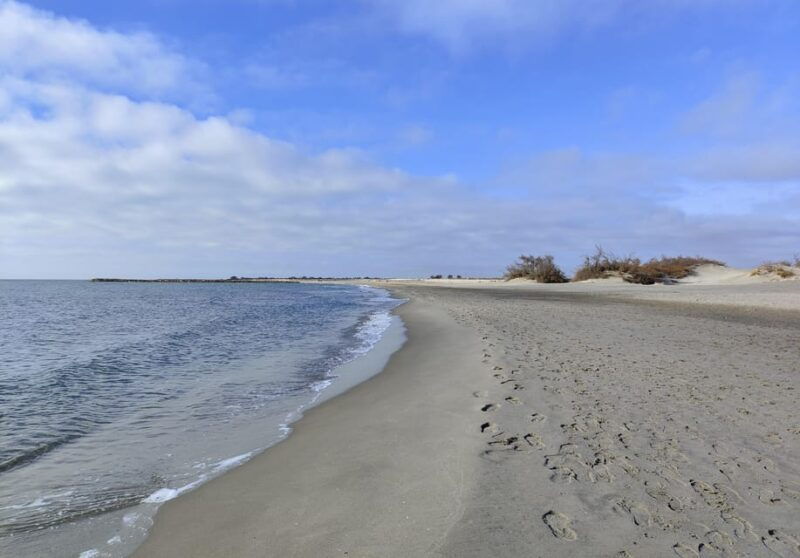 camargue-its-secrets-and-its-magic-an-exclusive-tour